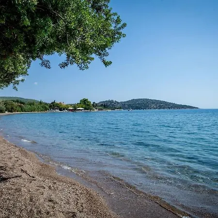 Melina With Pool By The Sea * Epidaurus